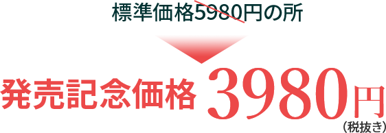 発売記念価格